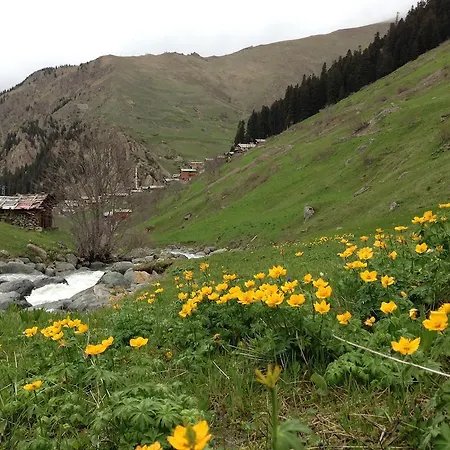 Yedigoller Hotel&restaurant 2* Uzungöl