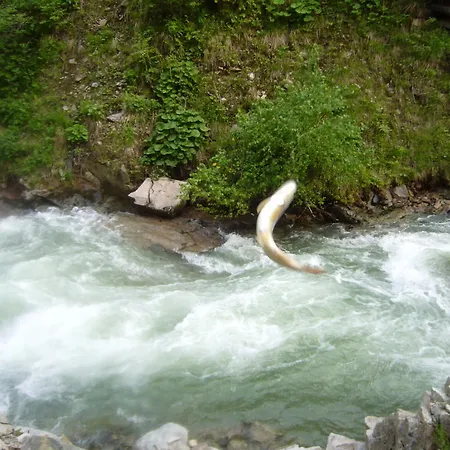 Yedigoller Hotel&restaurant Uzungöl